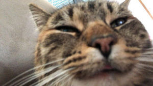 Meet your Posher, Taryn